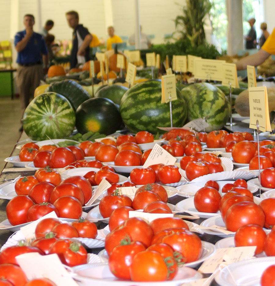 Produce is displayed.